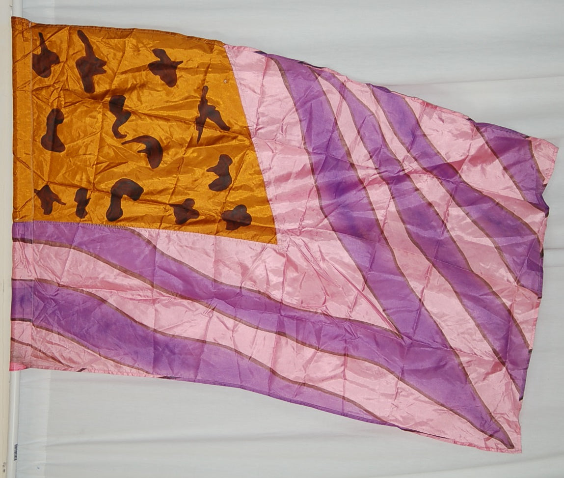 19 Purple Orange Flags