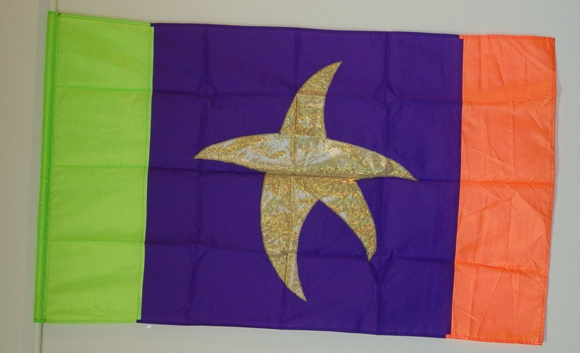 14 Multicolor Starfish Flags