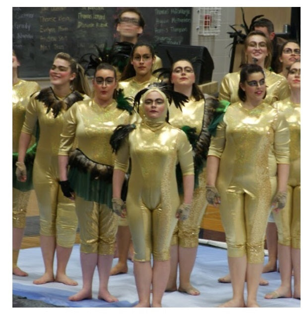15 Gold Bird Uniforms + Varied Feather Accessories