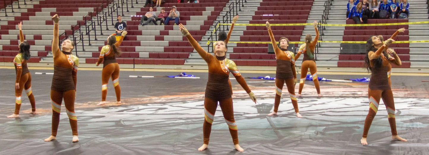 13 Brown orange gold long sleeve unitards by Creative Costuming & Designs