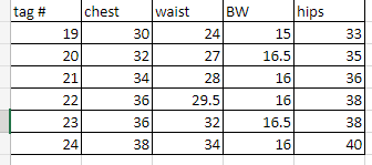 6 blue gold patterned bodice Dance Sophisticates dresses