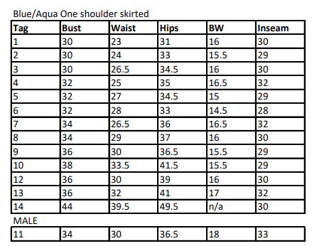 13 Female + 1 Male Blue Aqua skirted one shoulder Dance Sophisticates Unitard
