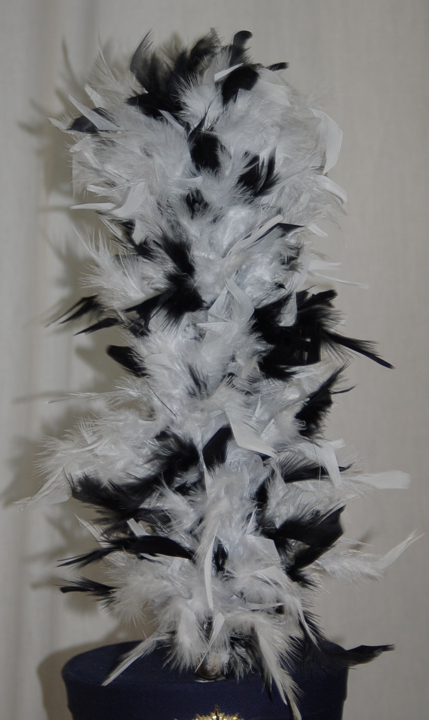11 black and white shako 15" upright plumes