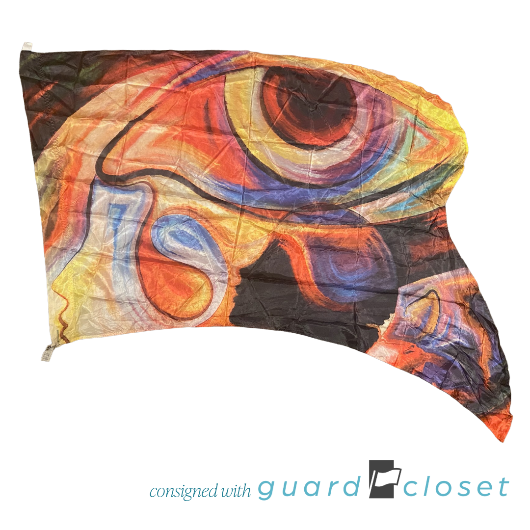 9 Multi Color Abstract Painting Art Flags by McCormicks