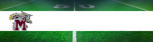 Mechanicsburg Area High School Marching Band