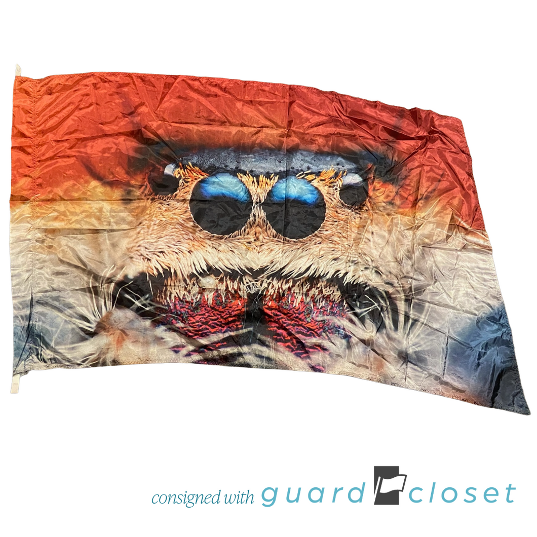 17 Multicolor Spider Face Flags by McCormicks