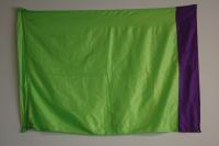 19 green purple Flags