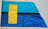 14  Blue yellow Flags