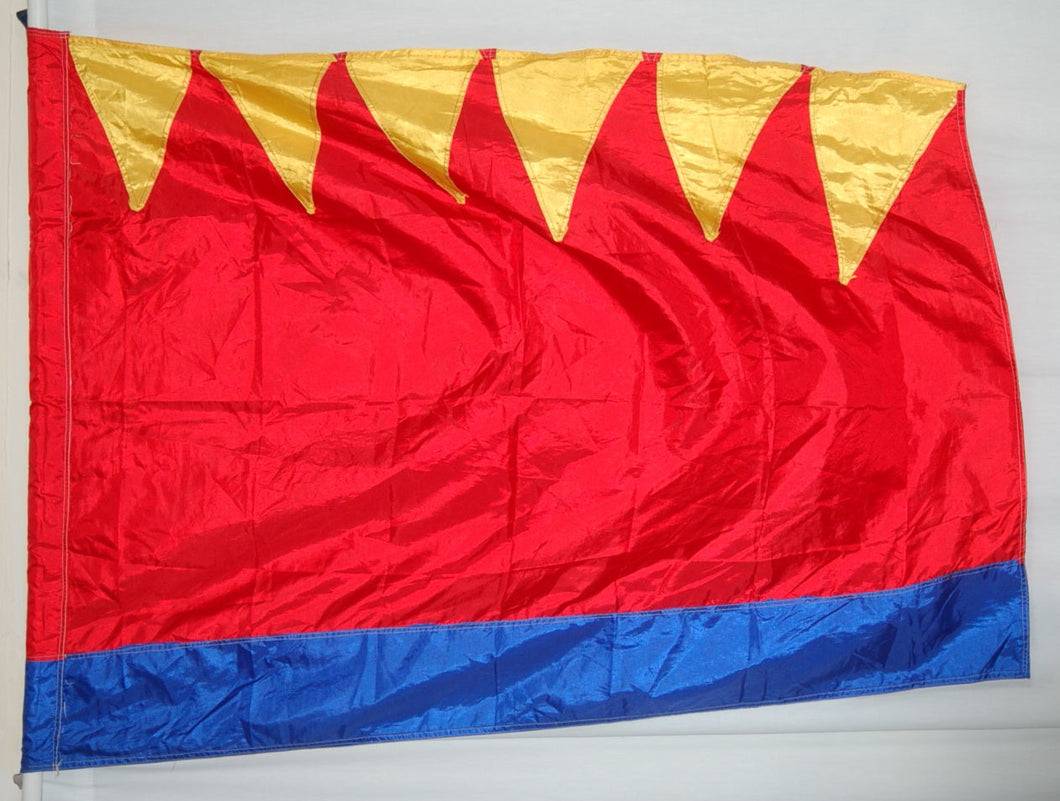 20 red blue yellow fire flags