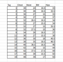 Load image into Gallery viewer, 17 Red Capri Length 3/4 Sleeve Uniforms by Dance Sophisticates
