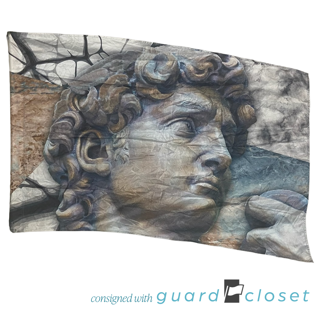 7 Multi Color Neutral David Michelangelo Art Sculpture Flags by Field & Floor FX