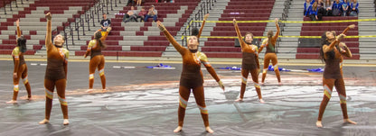 13 Brown orange gold long sleeve unitards by Creative Costuming & Designs
