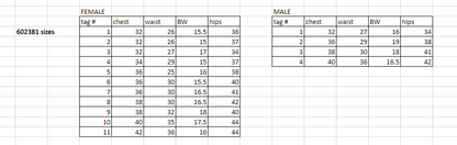 11 female + 4 male gray gold to white multicolor Dance Sophisticates reveal uniforms