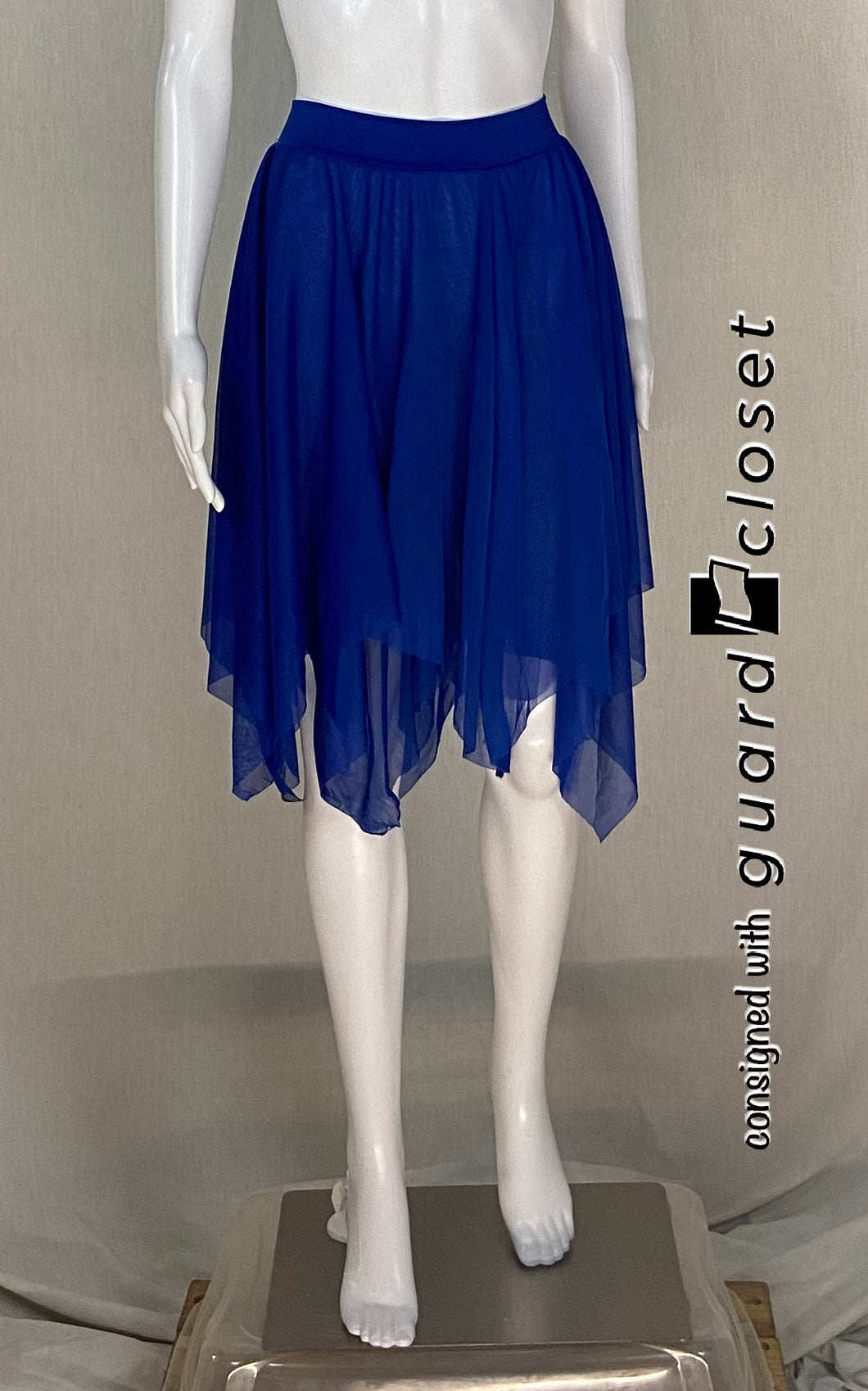 12 royal blue sheer skirts