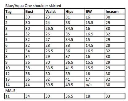 13 Female + 1 Male Blue Aqua skirted one shoulder Dance Sophisticates Unitard