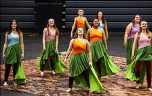 Load image into Gallery viewer, 14 Multicolor One Sleeve Skirted Unitards by Creative Costuming &amp; Designs
