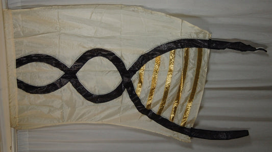 9 beige black DNA double helix flags