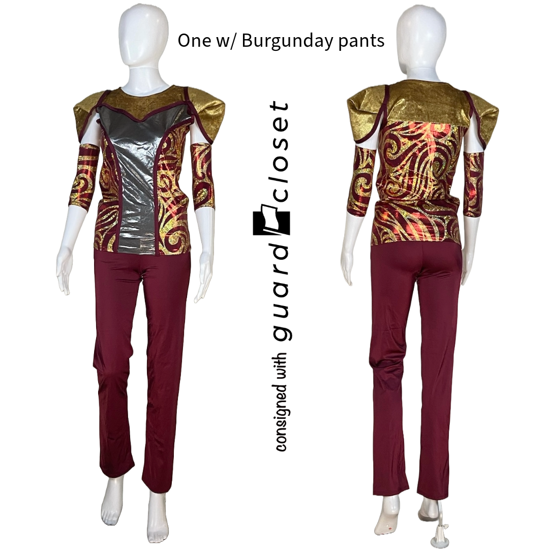 17 Burgundy Gold Grey Unitard w/ Skirted Back by Georgie Girl