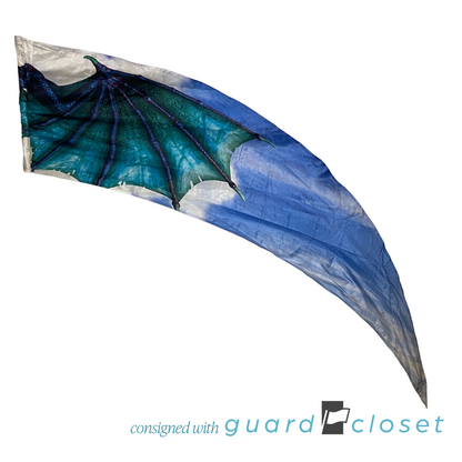 13 Multi Color Dragon Wing Flags by Band Today