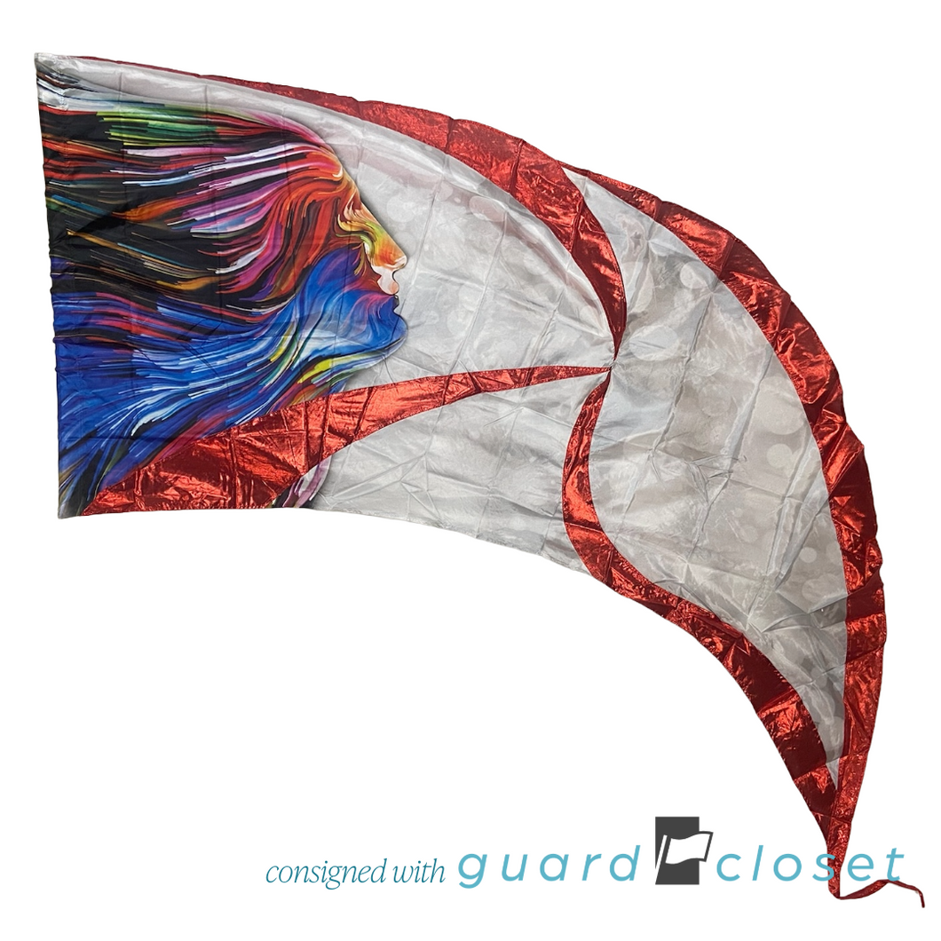 14 Multicolor Profile Silhouette Swing Flags by McCormicks