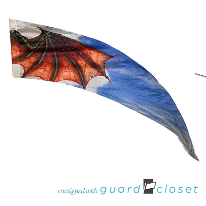13 Multi Color Dragon Wing Flags by Band Today