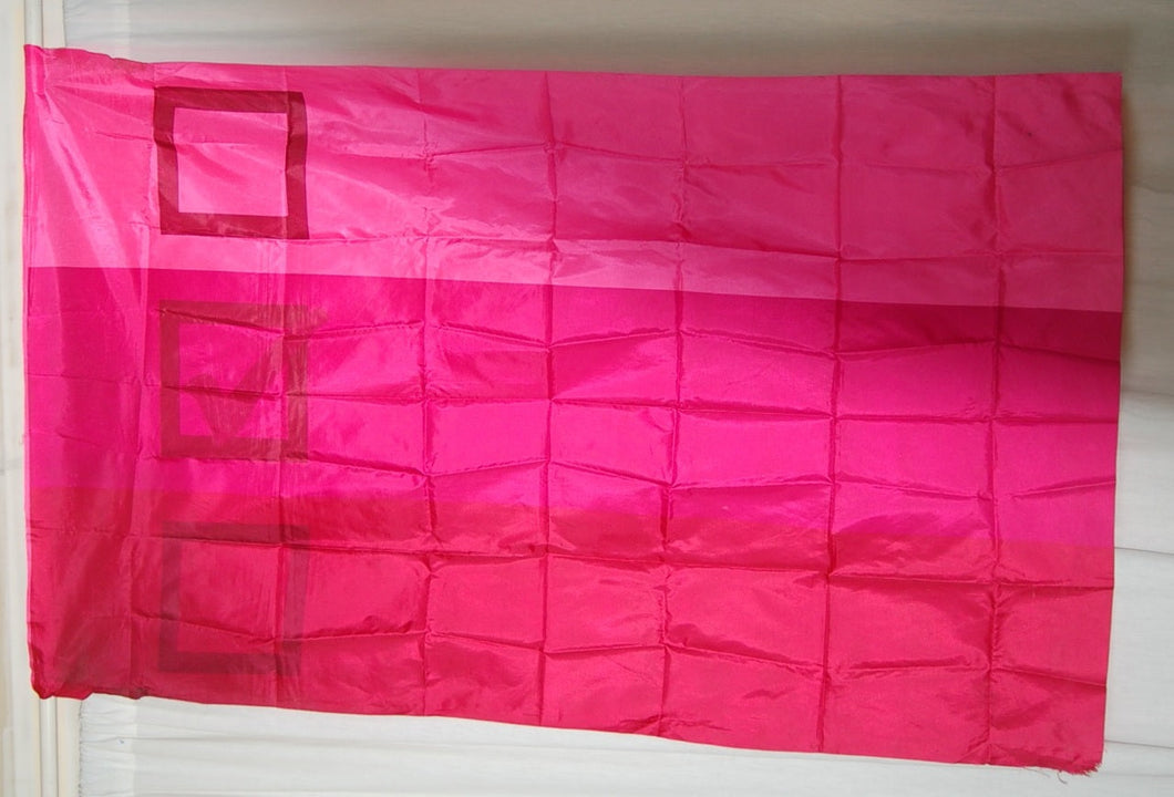 31 pink checkbox flags