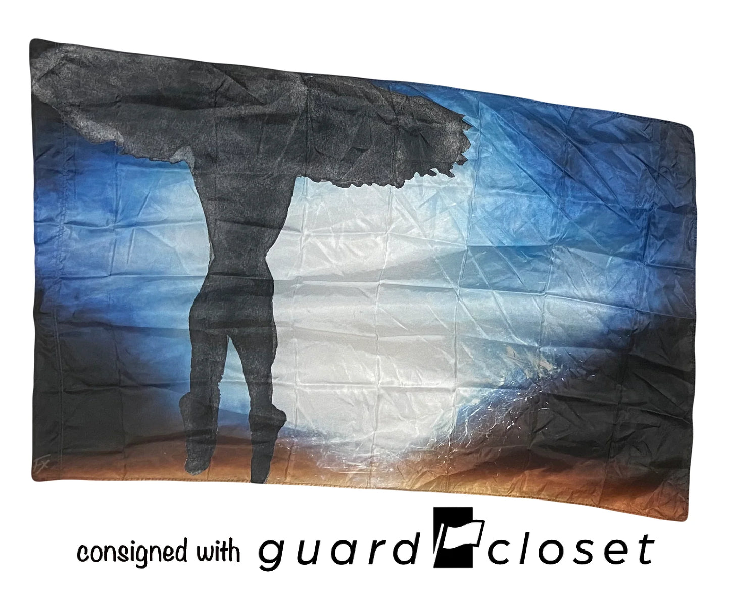 14 total ballet dancer silhouette flags (varied poses) by Field & Floor FX