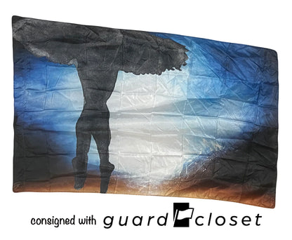14 total ballet dancer silhouette flags (varied poses) by Field & Floor FX