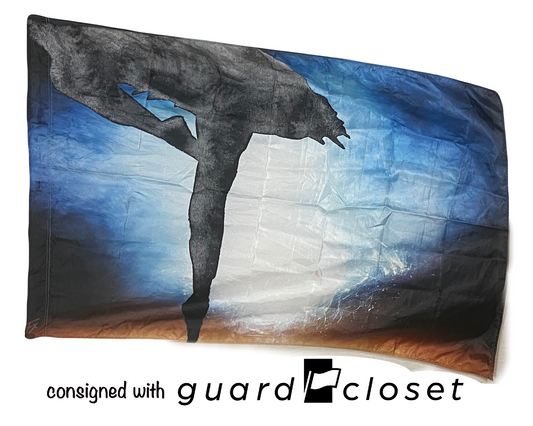 14 total ballet dancer silhouette flags (varied poses) by Field & Floor FX