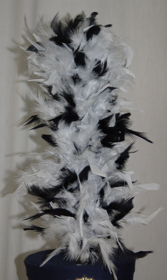 11 black and white shako 15" upright plumes