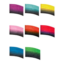 Load image into Gallery viewer, F1 Color to Black Flag
