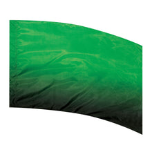 Load image into Gallery viewer, F1 Color to Black Flag
