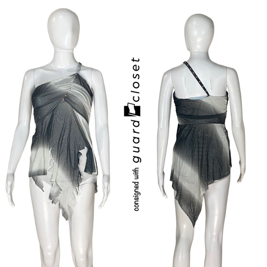 Silver Gray Leotards and Black Gray Short Sleeve Top | guardcloset | Set of 14