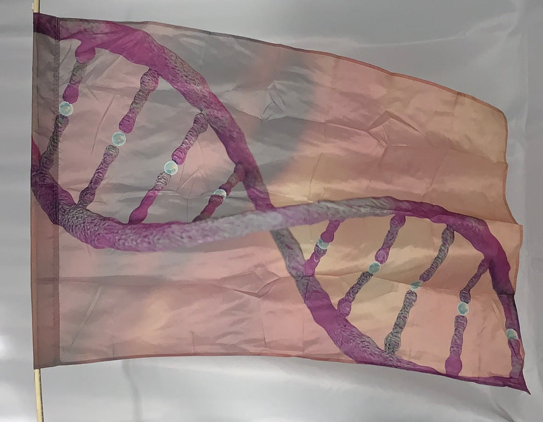 12 DNA double helix Flags by Flash Media