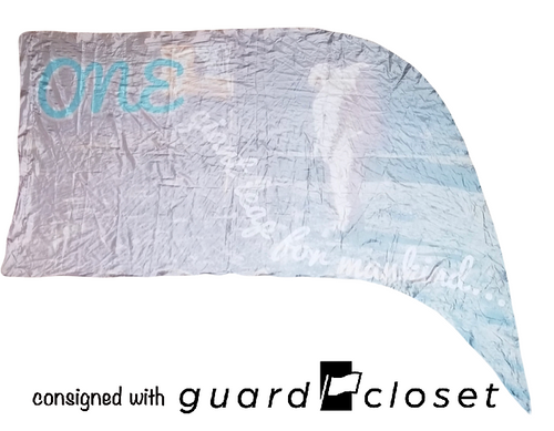 20 astronaut moon landing space flags Winter Guard Tarps