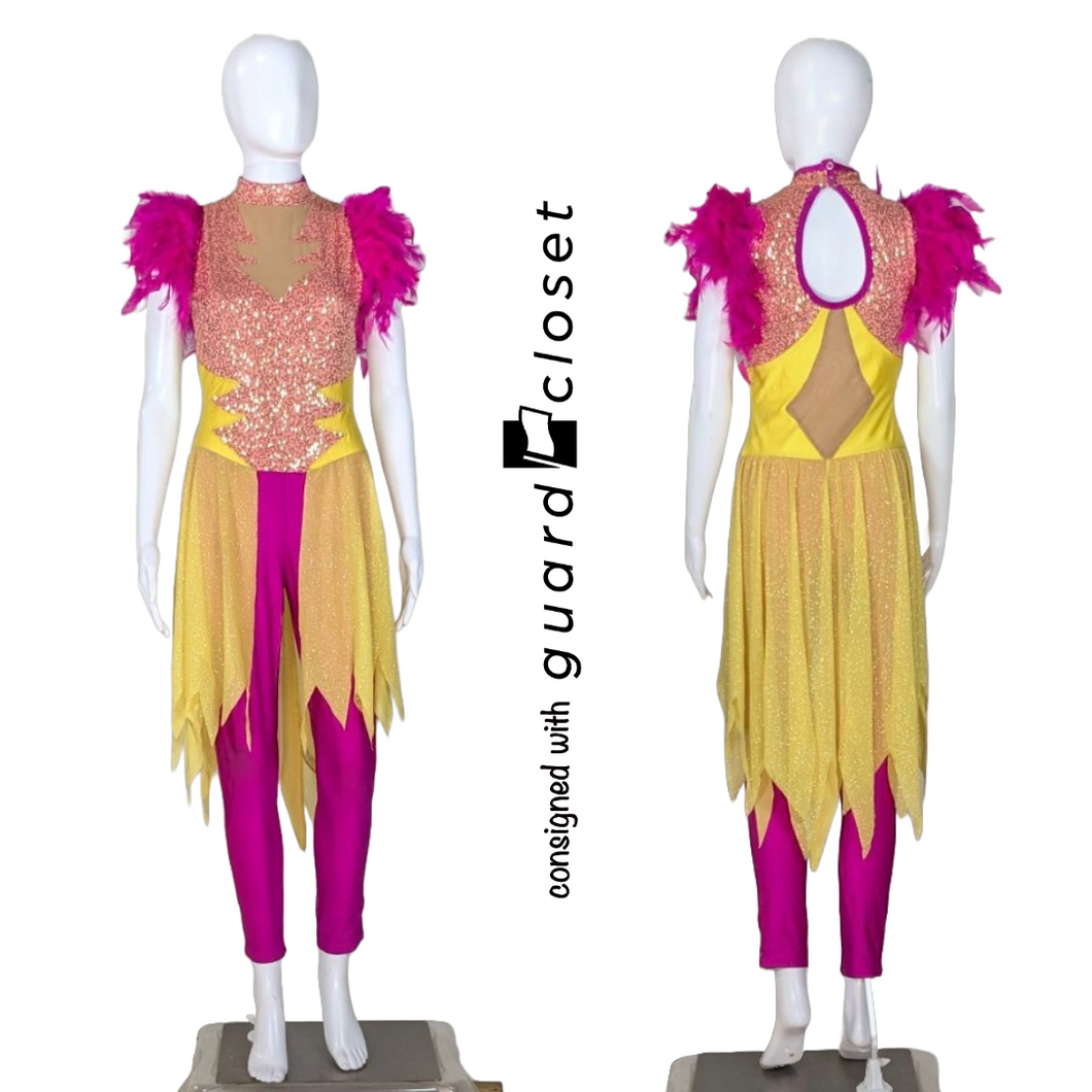 25 pink yellow feather unitards by A Wish Come True