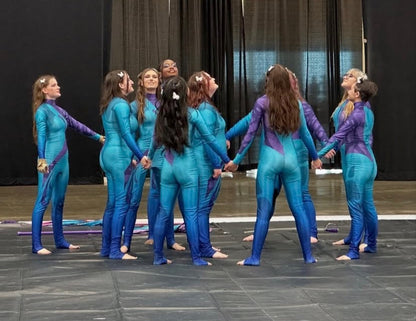 Blue and Purple Butterfly Unitards and Pull on Skirts | McCormicks | Set of 13