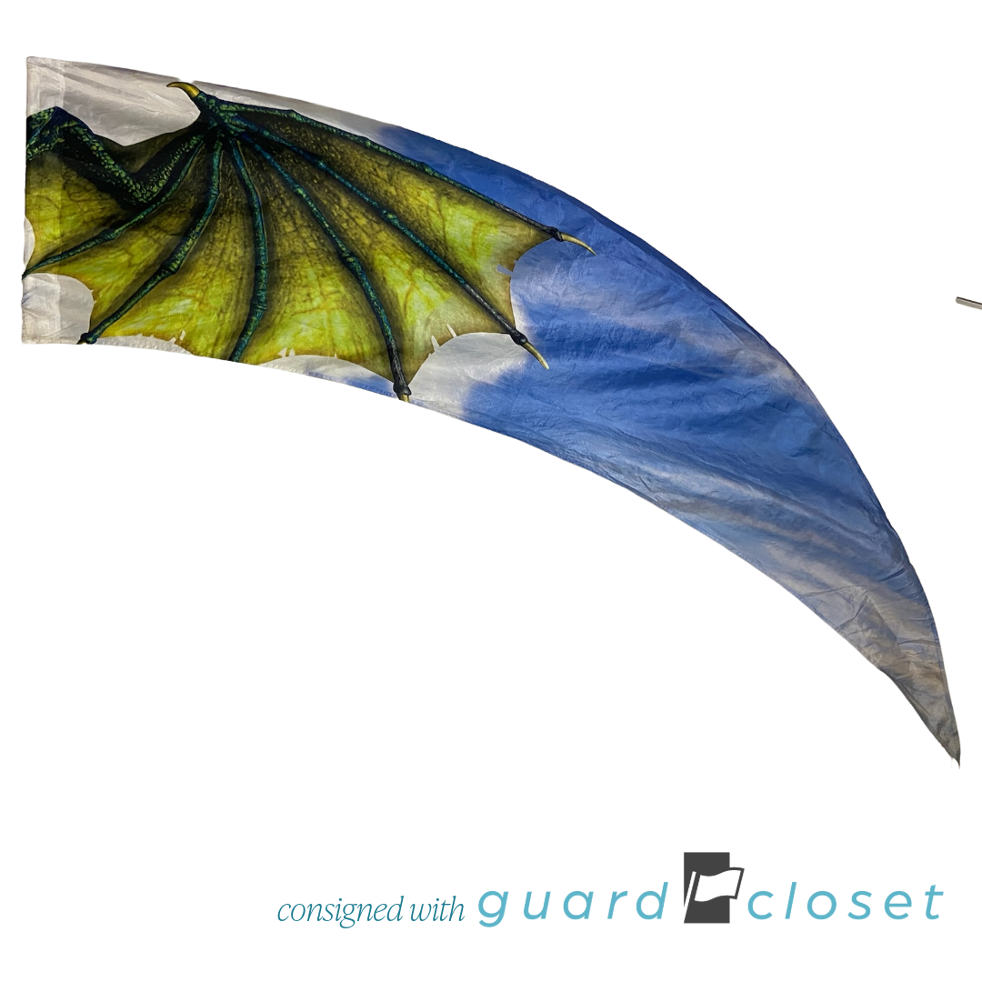 13 Multi Color Dragon Wing Flags by Band Today