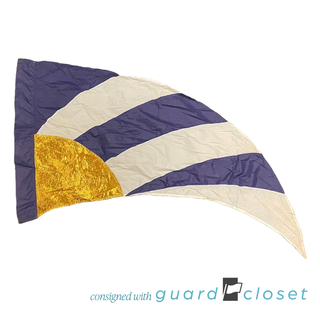 8 Blue Gold Rays Band Shoppe Flags