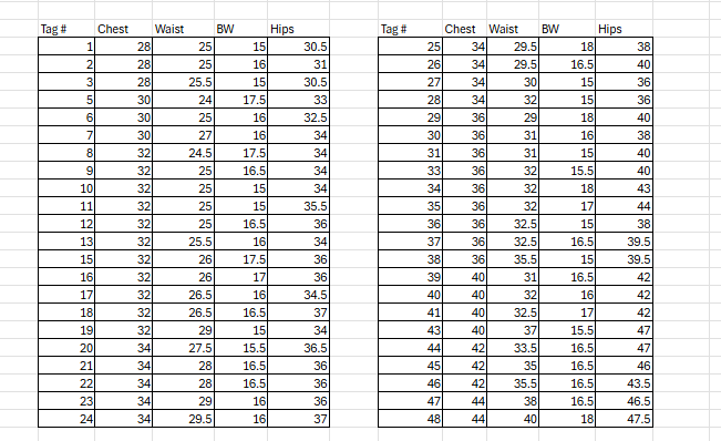 44 Teal Bronze Insect Wing Long Sleeve Unitards by Dance Sophisticates