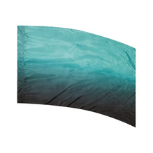 Load image into Gallery viewer, F1 Color to Black Flag
