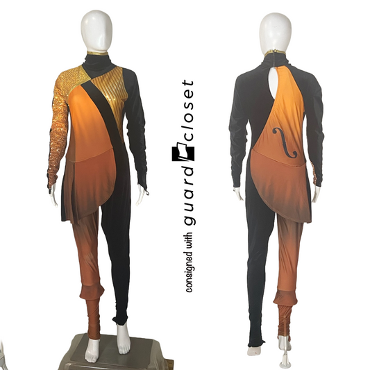 38 Brown Black Gold String Instrument Music Unitards by F. J. Miller