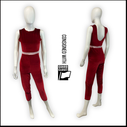 Red velvet and pink lycra separates variations | Georgie Girl | Set of 21