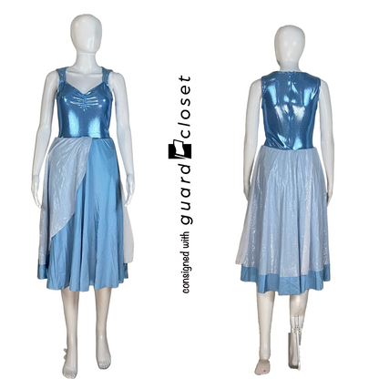12 Brown Blue to Ice Blue Convertible Reveal Costumes Cinderella theme by Creative Costuming & Designs