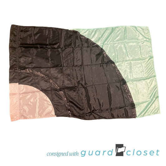 11 Pink Black Mint Green Record 1950s Rock and Roll Flags by Band Shoppe