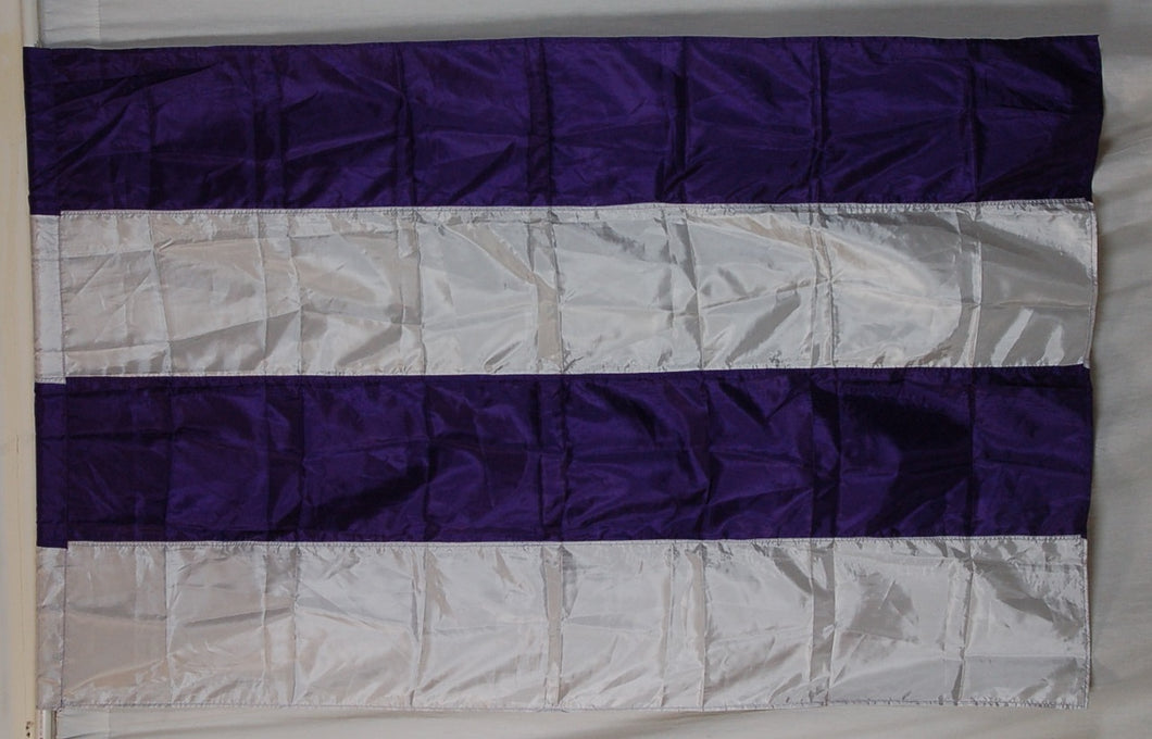 9 Purple/silver Flags guardcloset