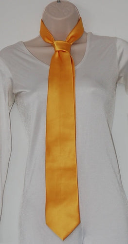 19 Ties, 100% Polyester Microfiber, Gold, Excellent Condition guardcloset