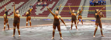 Load image into Gallery viewer, 13 Brown/orange/gold Uniforms Creative Costuming &amp; Designs
