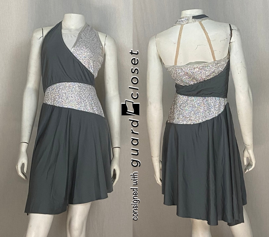 5 gray/silver sleeveless dresses with built in leotard A Wish Come True