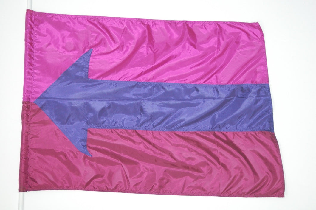 8 Purple Arrow Flags guardcloset